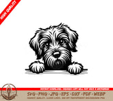Fuzzy Paws Griffon SVG - Digital Product in multiple file formats